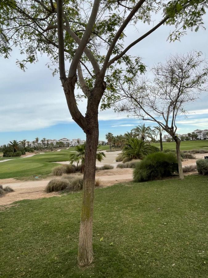 Apartamento De Lujo En Planta Baja Con Piscina En La Torre Golf Resort Roldan Bagian luar foto